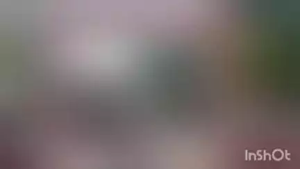 बुढ़नपुर: अहरौला पुलिस पर महिला ने लगाया आरोप, छेड़खानी के बाद मुकदमा दर्ज नहीं करने का