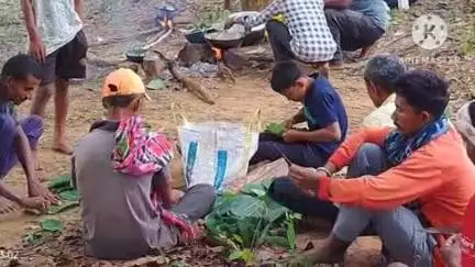 दुर्गुकोंदल: ग्राम सिवनी में बिजली पर्व मनाकर ठाकुर देव और प्रकृति शक्तियों से अच्छी फसल की कामना की गई