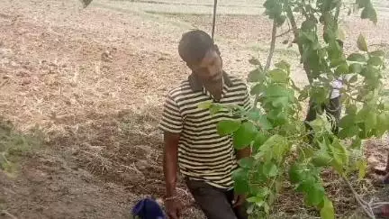 చేగుంట: అప్పుల బాధతో యువరైతు ఆత్మహత్య : ఎసై చైతన్య కుమార్ రెడ్డి