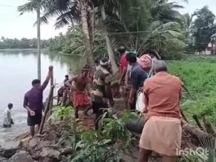 കുട്ടനാട്: ചമ്പക്കുളം പടച്ചാൽ പാടശേഖരത്തിൽ മടവീഴ്ച, കര്‍ഷകര്‍ ആശങ്കയില്‍, മടയടയ്ക്കൽ ശ്രമം തുടരുന്നു