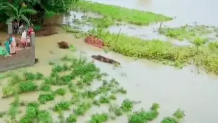 গড়বেতা ৩: বৃদ্ধি পেয়েছে জলস্তর, গড়বেতা গোয়ালতোড় সহ এলাকায় বন্যা পরিস্থিতি