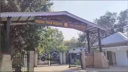 पन्ना: 30 जून से पर्यटकों के लिए बंद होंगे पन्ना टाइगर रिजर्व के गेट, फील्ड डायरेक्टर ने बताई वजह