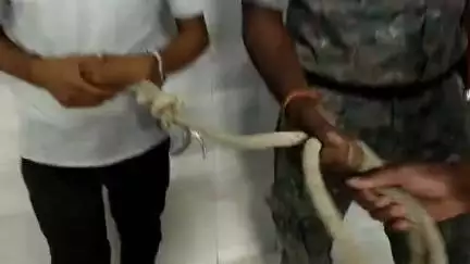 समस्तीपुर: पत्नी को मेंटेनेंस न देने पर परिवार न्यायालय के न्यायाधीश ने एक व्यक्ति को हिरासत में लेकर भेजा जेल
