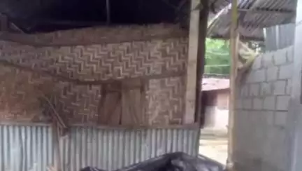 ধূপগুড়ি: উত্তর ধুমপাড়াতে বুনো হাতির হামলায় ক্ষতিগ্রস্ত দুটি রান্নাঘর ও দুটি দোকানঘর