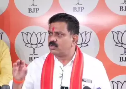 रायपुर: डिप्टी सीएम विजय शर्मा ने नक्सली पीड़ितों को लेकर दिया बड़ा बयान