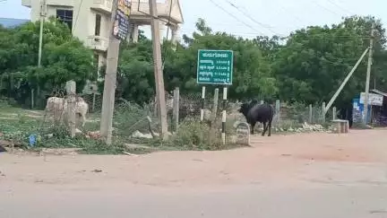 ಕುರುಗೊಡು: ನಗರದ ಕುಡುತಿನಿ ರಸ್ತೆಯಲ್ಲಿ ಬೈಕ್ ಗೆ ಲಾರಿ ಢಿಕ್ಕಿ, ಬೈಕ್ ಸವಾರ ಸ್ಥಳದಲ್ಲೇ ಸಾವು