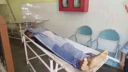 सैदपुर: साँप के डंसने पर बेटे ने सो रही माँ को बताया, माँ ने किया टालमटोल, सुबह इकलौते बेटे की सैदपुर में हुई मौत से मचा कोहराम