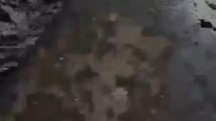 चंदनकियारी: वेदांता कंपनी के प्रदूषित पानी से इजरी नदी का पानी दूषित, जिला बीस सूत्री उपाध्यक्ष ने जताया आक्रोश