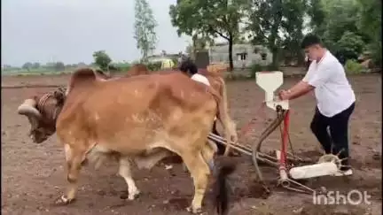 ભાણવડ: હાલારમાં હરખની હેલી; ભાણવડમાં અનેક ગ્રામ્ય વિસ્તારમાં સારો વરસાદ થવાથી ધરતીપુત્રોએ વાવણીનુ શ્રી ગણેશ કર્યું