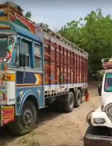 गुड़ामालानी: बाड़मेर में राज्य-वृक्ष खेजड़ी से भरे ट्रक-पिकअप जब्त, 20 टन गीली लकड़ी बरामद, दो ड्राइवरों को किया गिरफ्तार