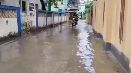 খড়গপুর ১: খড়গপুরের রাস্তায় লাফাচ্ছে মাছ, ঘুরছে বিষধর সাপ, দলেরই কাউন্সিলরের বিরুদ্ধে বিস্ফোরক পৌরসভার চেয়ারপার্সন