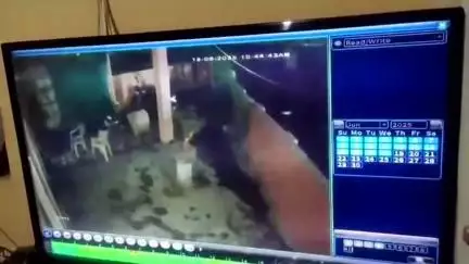 नरवर: 12 लोगों ने सोने-चांदी के जेवर व नगदी की चोरी की, पेट्रोल खत्म होने पर दो बाइक रास्ते में छोड़ी