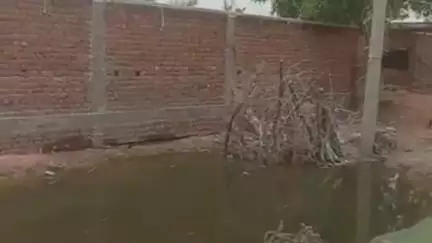 महाराजपुर: ग्राम नुना के व्यक्ति की ज़मीन का सीमांकन नहीं होने से परेशानी, दर-दर भटकने को मजबूर