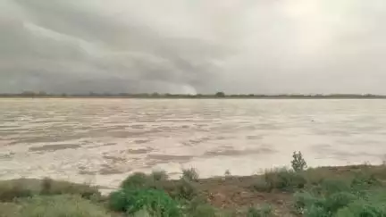 नौहट्टा: सोन नदी में बाढ़ जैसे हालात, कई लोग डूबने से बचे