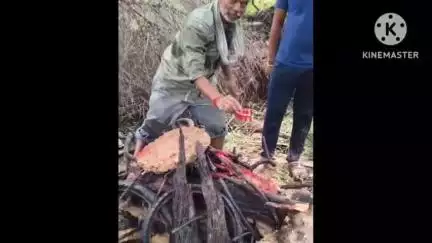 जीरन: ग्राम बांसखेड़ा में विद्युत डीपी से करंट लगने से बंदर की मौत, ग्रामीणों ने किया अंतिम संस्कार
