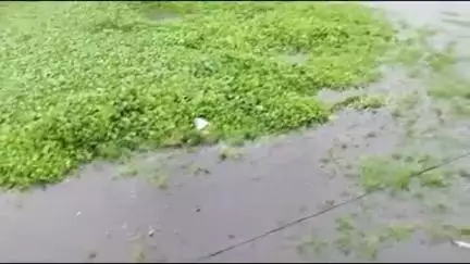 बेरमो: फुसरो में लगातार बारिश के बाद जल जमाव, लोगों को आने-जाने में हुई परेशानी