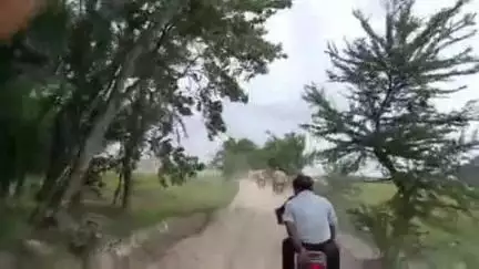 सुपौल: सुपौल ज़िला पदाधिकारी सावन कुमार ने बाढ़ पीड़ित क्षेत्रों का किया निरीक्षण, दिए आवश्यक दिशा-निर्देश