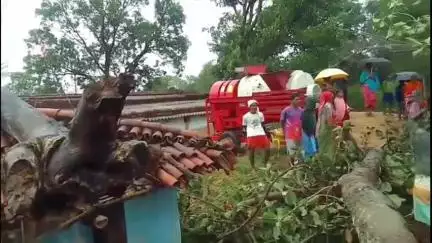 लोहरदगा: आनन्दपुर में 100 साल पुराना बरगद का पेड़ गिरा, मवेशी और ग्रामीण बाल-बाल बचे, सड़क बाधित