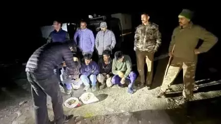 चम्बा: वन मंडल पांगी की टीम ने बगोटू में जंगली लहसुन के साथ चार लोगों को किया गिरफ्तार