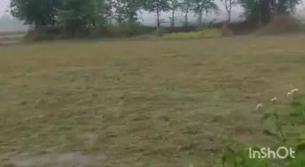 काशी चक: काशीचक प्रखंड क्षेत्र में हुई बारिश से किसानों के चेहरे खिले, गर्मी से मिली राहत