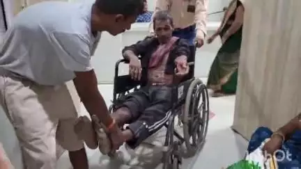 जहानाबाद: ऊंटा में पेड़ काटने के दौरान एक व्यक्ति गिरा, गंभीर रूप से घायल, पी एम सी एच पटना रेफर