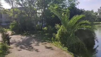 মিনাখাঁ: মিনাখাঁ বিডিও অফিস চত্বরে বিপদজনক ভাবে ঝুলছে বৈদ্যুতিক তার, যেকোনো সময় ঘটতে পারে বড়সড়ো বিপত্তি#jansamasya