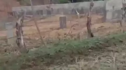 बरही: करौंदी खुर्द: स्टे के बाद भी ज़मीन पर निर्माण, तहसील कार्यालय में शिकायत, सुनवाई नहीं