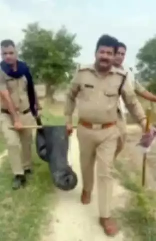 काशीपुर: आबकारी विभाग की टीम ने ग्राम खाईखेड़ा में 3000 लीटर लहन की नष्ट, 80 लीटर शराब बरामद