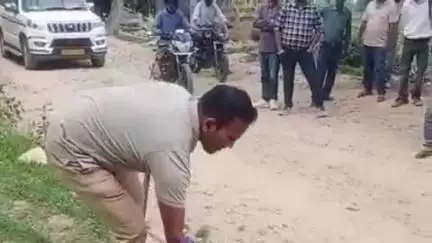 चम्पावत: सीएमओ कार्यालय परिसर में सांप दिखने से मचा हड़कंप, वन विभाग की टीम ने किया रेस्क्यू