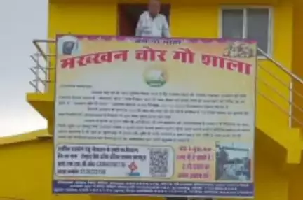 उदयपुरा: उदयपुर में शिक्षक संघ के सदस्यों ने मक्खन चोर गौशाला को ₹6430 का दान दिया
