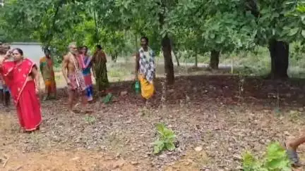 ଜମନକିରା: ଡିମିରିମୁଣ୍ଡା ଠାରେ ଜଙ୍ଗଲ ଜମି ପଟ୍ଟା ପାଇବା ରୁ ୨୦ ଆଦିବାସୀ ପରିବାର ବଞ୍ଚିତ #jansamasya
