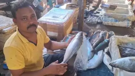 গড়বেতা ৩: জামাইষষ্ঠী উপলক্ষে চন্দ্রকোনা রোডে মাছের বাজারে কতটা প্রভাব পড়ল তা কিন্তু জানাচ্ছেন ব্যবসায়ীরা