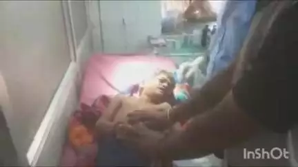 चित्तौड़गढ़: डोराई में कुत्ते ने 2 बच्चों पर किया हमला, मेघपुरा मार्ग पर एक राहगीर को भी काटा, सुरक्षा को लेकर लोग दहशत में