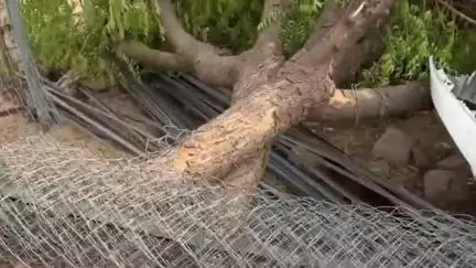 चितलवाना: हाड़ेचा में अनियंत्रित लग्जरी कार लोहे के कारखाने में घुसी, दो लोग घायल