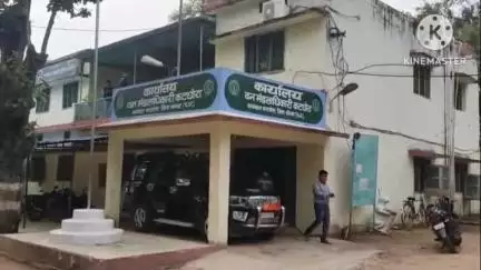 पोड़ी उपरोड़ा: तेन्दुबोदार के ग्रामीणों की व्यथा, हाथियों के हमले से हुआ नुकसान, मुआवजे की आस