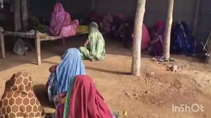 नेपानगर: बाकड़ी में सांप के डसने से 8 साल के मासूम राहुल की मौत, परिवार में कोहराम