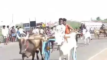 அறந்தாங்கி: வீரமங்கலம் கீழ்கத்தி கிராமத்தில் கோவில் திருவிழாவை முன்னிட்டு மாட்டு வண்டி எங்கை பந்தய போட்டிகள் வெகு சிறப்பாக நடைபெற்றது