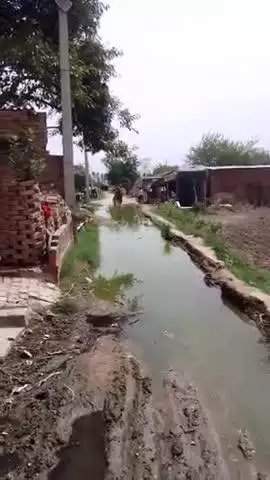 तहसील बिल्सी: पालपुर गांव में कच्ची सड़क पर जलभराव के कारण आवागमन वाले परेशान
#bilsinews #bilsibudaun03