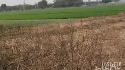 ताल: सरसाना रोड शेरपुर में दो अज्ञात व्यक्तियों ने एक बुजुर्ग के साथ की मारपीट