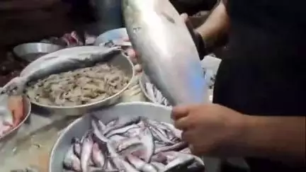 জলপাইগুড়ি: বাংলাদেশের ইলিশ আসা বন্ধ হলেও ডায়মন্ড হারবারের ইলিশে ভরল জলপাইগুড়ির মাছ বাজার