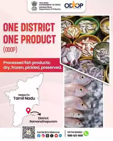 Ramanathapuram, Tamil Nadu
Under #ODOP, the district is boosting local livelihoods through processed fish products – dry, frozen, pickled & preserved.
Empowering coastal communities, enhancing value, and supporting the #BlueEconomy.