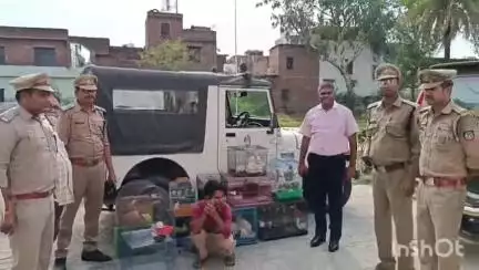 उरई: सब्जी मंडी इलाके में वन विभाग की टीम ने पेट शॉप पर की छापेमारी, प्रतिबंधित कछुए कुल्लू व अन्य की हुई बरामदगी