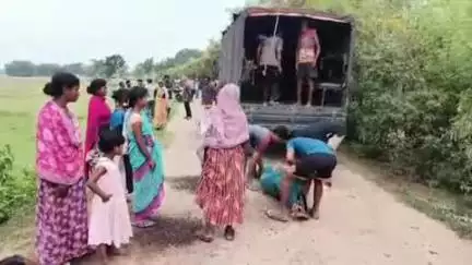 भरनो: कुसुम्बाहा गांव में युवक की धारदार हथियार से हत्या, शव सड़क किनारे मिला