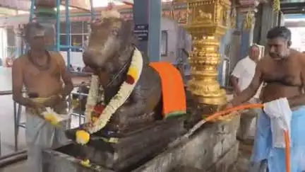 திருப்பூர் தெற்கு: அரிசி கடை வீதி ஸ்ரீ விஸ்வஸ்வரர் கோவில் தேரோட்டத்தை முன்னிட்டு கோவிலில் இன்று உழவாரப்பணி நடைபெற்றது