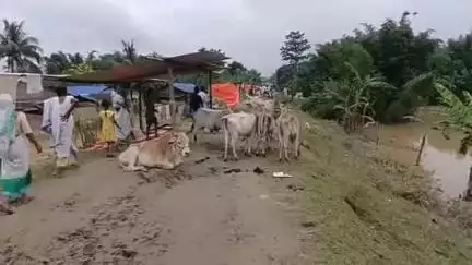 উত্তৰ লক্ষীমপুৰ: আমতলাত অপৰিৱৰ্তিত বান পৰিস্থিতি, ৰঙানদীৰ মথাউৰি ছিগাৰ ফলত বানাক্ৰান্ত প্ৰায় ১২শ পৰিয়াল