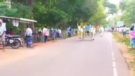 சிவகங்கை: மதகுபட்டியில் மாட்டு வண்டி பந்தயம். விருவிருப்பாக நடைபெற்ற போட்டியில் 41 ஜோடி மாடுகள் பங்கேற்பு.