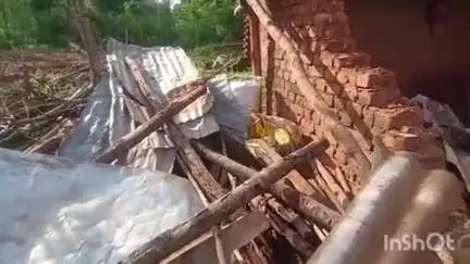 ଫୁଲବାଣୀ ସହର: କନ୍ଧମାଳ ଜିଲ୍ଲାର ବିଭିନ୍ନ ସ୍ଥାନରେ ହାତୀ ଉପଦ୍ରବ,ମାଲାନ୍ ସୁଗାରେ ସୋଲାର ଲାଇଟ୍ ଲଗାଇବାକୁ କଲେ ଦାବୀ # jansamasya