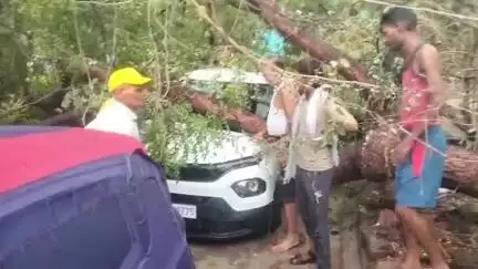 पन्ना: बृजपुर में आंधी-बारिश की वजह से गिरे पेड़ व बिजली आपूर्ति हुई बाधित, पेड़ गिरने से एक कार भी हुई क्षतिग्रस्त