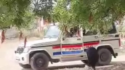 मुगलसराय: रौना गांव में गंगा किनारे संदिग्ध परिस्थितियों में एक सप्ताह पुराना मिला व्यक्ति का शव, कार्रवाई में जुटी पुलिस