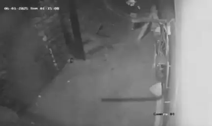 शाहपुरा: देवताल रोड पर अज्ञात बदमाशों ने फेंकी ईंटें और बीयर की बोतलें, घटना सीसीटीवी में कैद